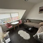 Апартаменты Cozy Vintage *